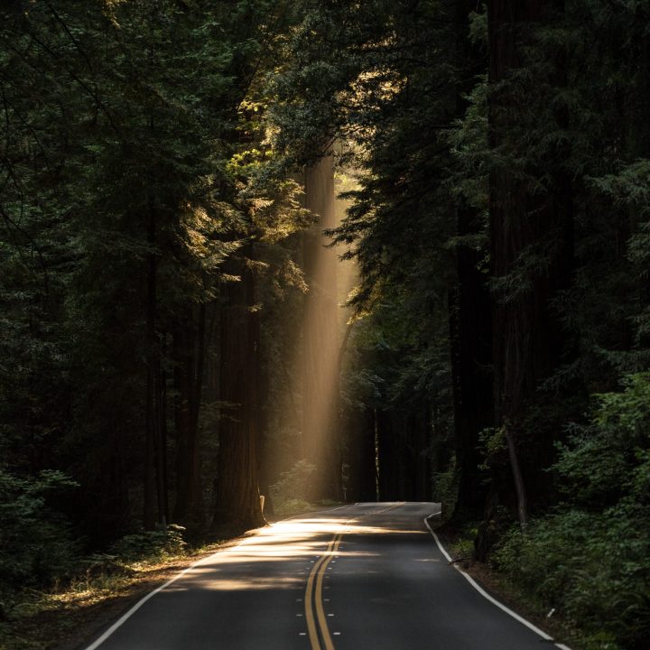 john-towner-3Kv48NS4WUU-unsplash